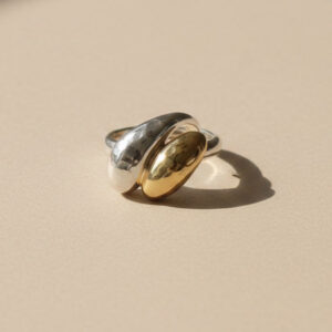 Anillo silver and gold